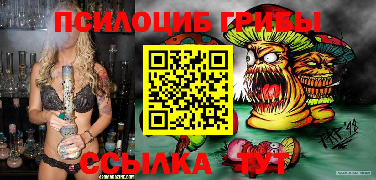 Псилоцибиновые грибы Magic Shrooms  Вход с VPN  Галлюциногенные грибы MAGIC MUSHROOMS  Камышин 