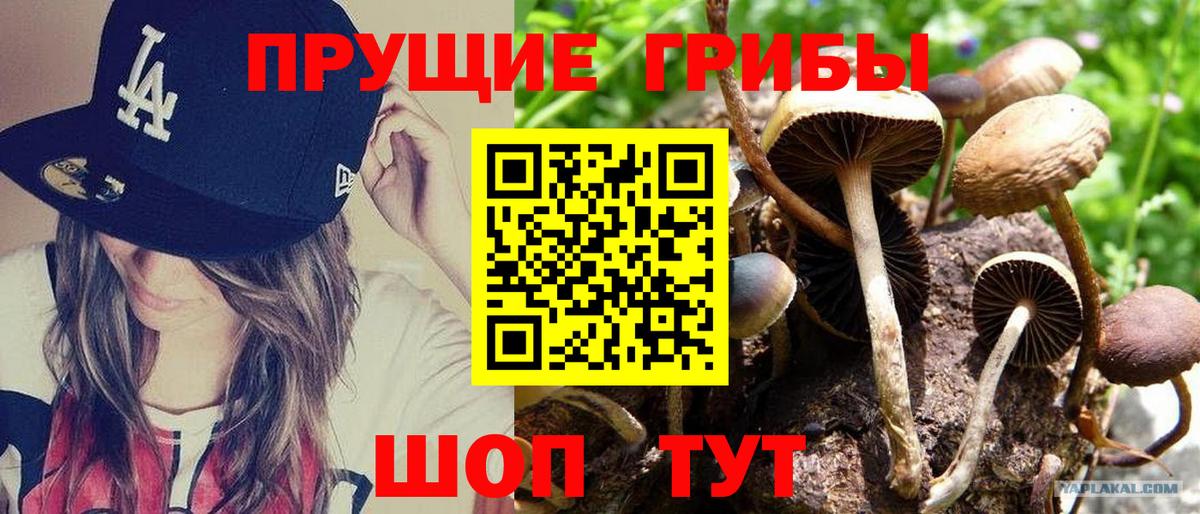 Галлюциногенные грибы MAGIC MUSHROOMS Камышин